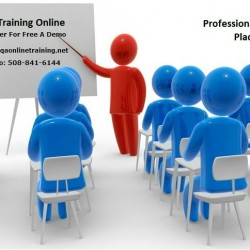 QA Online Training.qaonlinetraining.net